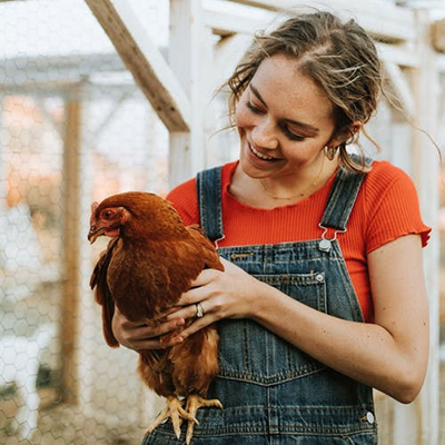 Backyard Chicken Basics
