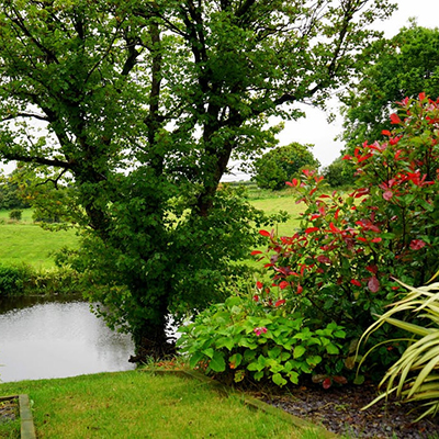 ecological garden