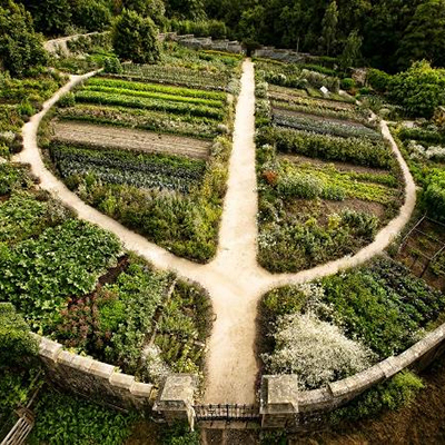 ecological garden