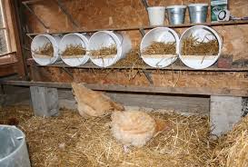 Bucket Chicken Nesting Boxes