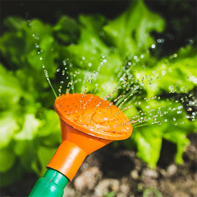 Gardening success