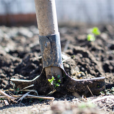 Principles Of Permaculture Design – Nature As Our Teacher