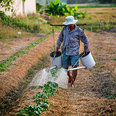 Organic Permaculture