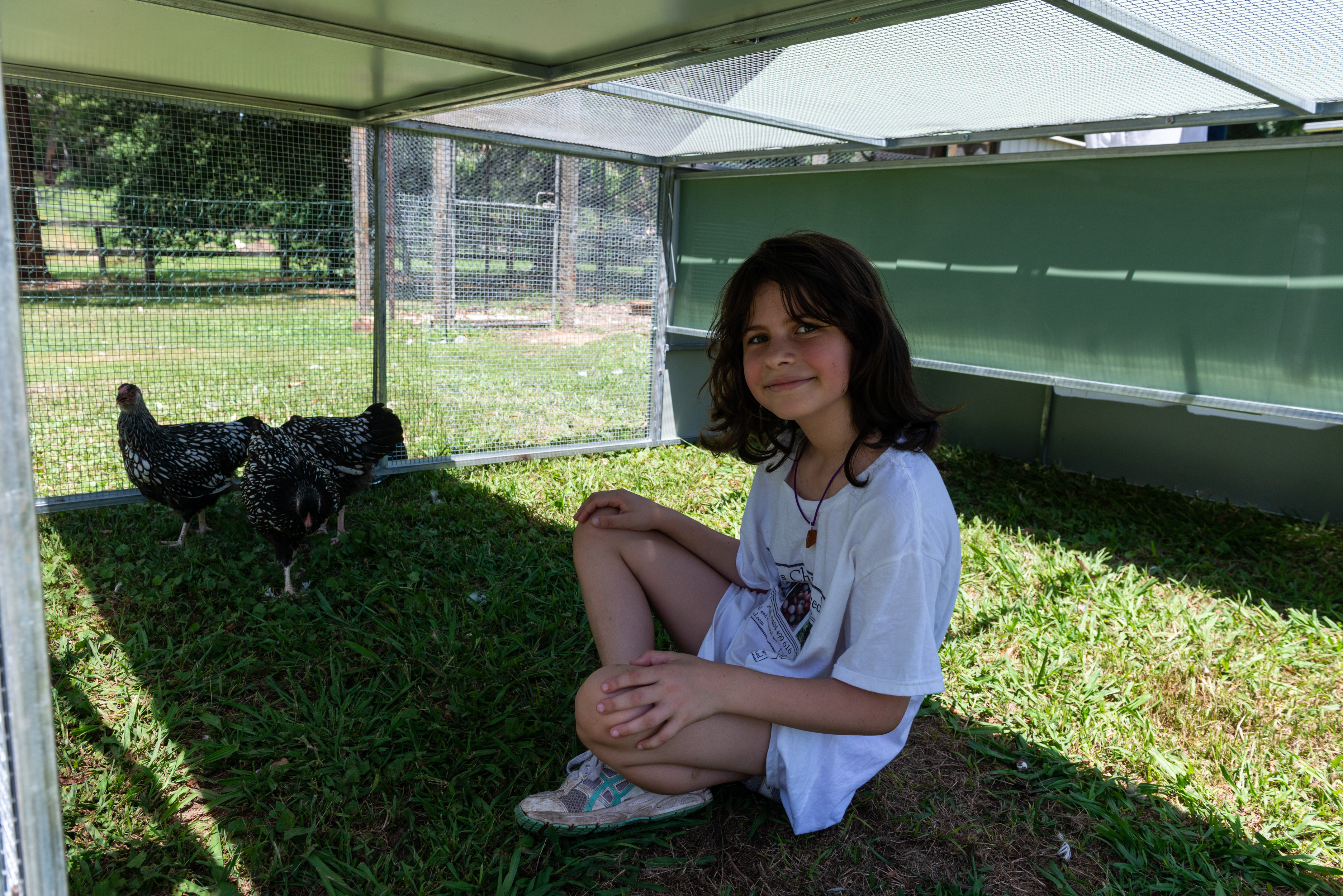 Jumbo Chicken Coop Tractor inside