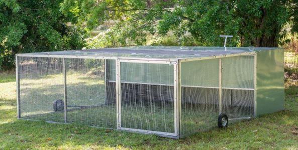 Keeping Chickens is easy inside a chicken tractor