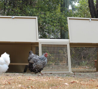 Rabbit and Chicken Hutch