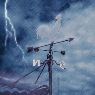protect chicken from storm