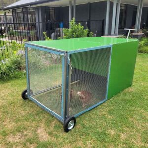 chook rental program coop with backyard model tractor photo 6