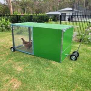 chook rental program coop with backyard model tractor photo 8